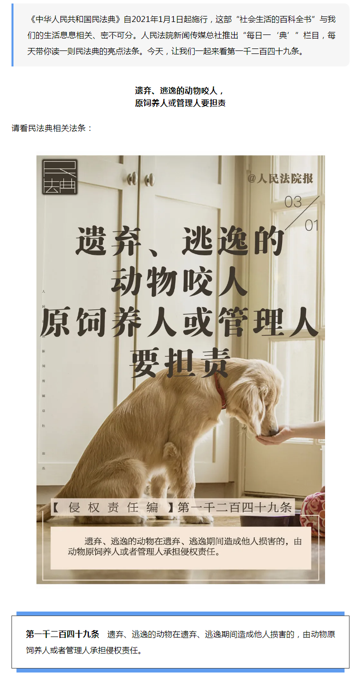 每日一“典”丨遺棄、逃逸的動物咬人，責(zé)任誰承擔(dān)？.png