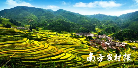 韶關(guān)樂昌市“詩(shī)畫田園”鄉(xiāng)村游線路