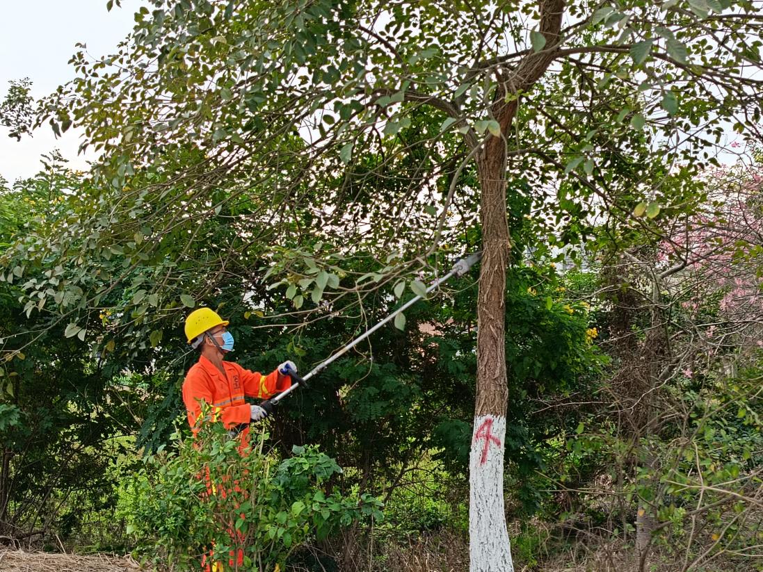 公路信息kp055-精準(zhǔn)培訓(xùn)提技能 以賽促練礪精兵——江門市開平公路事務(wù)中心開展2024年綠化養(yǎng)護(hù)培訓(xùn)與養(yǎng)護(hù)技能競(jìng)賽.docx_3