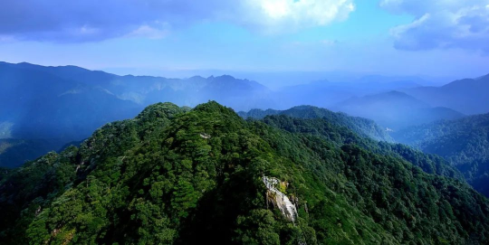 國際生物多樣性日 | 廣東物種“家底”有多厚？