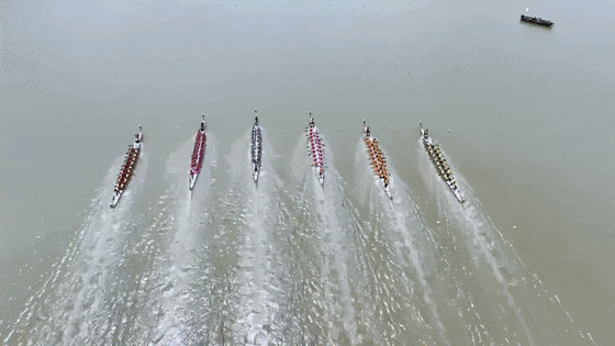 賽龍舟無字幕[00-06-18--00-06-22].gif